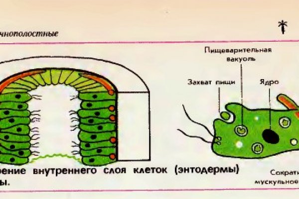 Как пополнить кошелек на мега даркнет