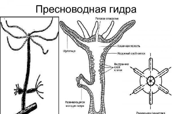 Мега даркнет википедия дата открытия