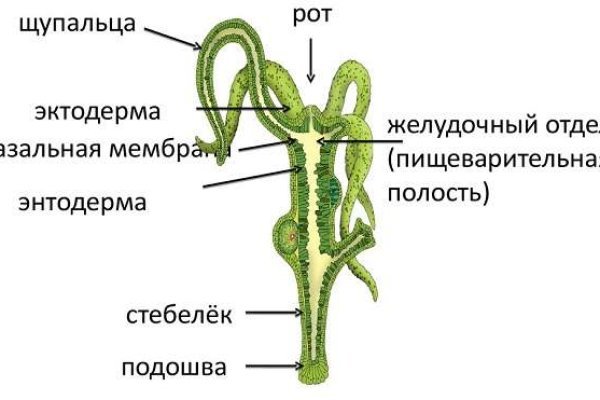 Мега омг ссылки